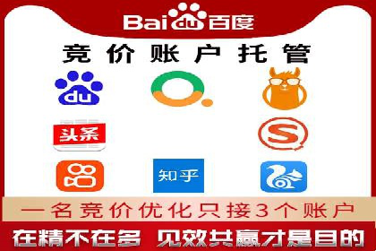 电商行业SEM运营的挑战与成功案例